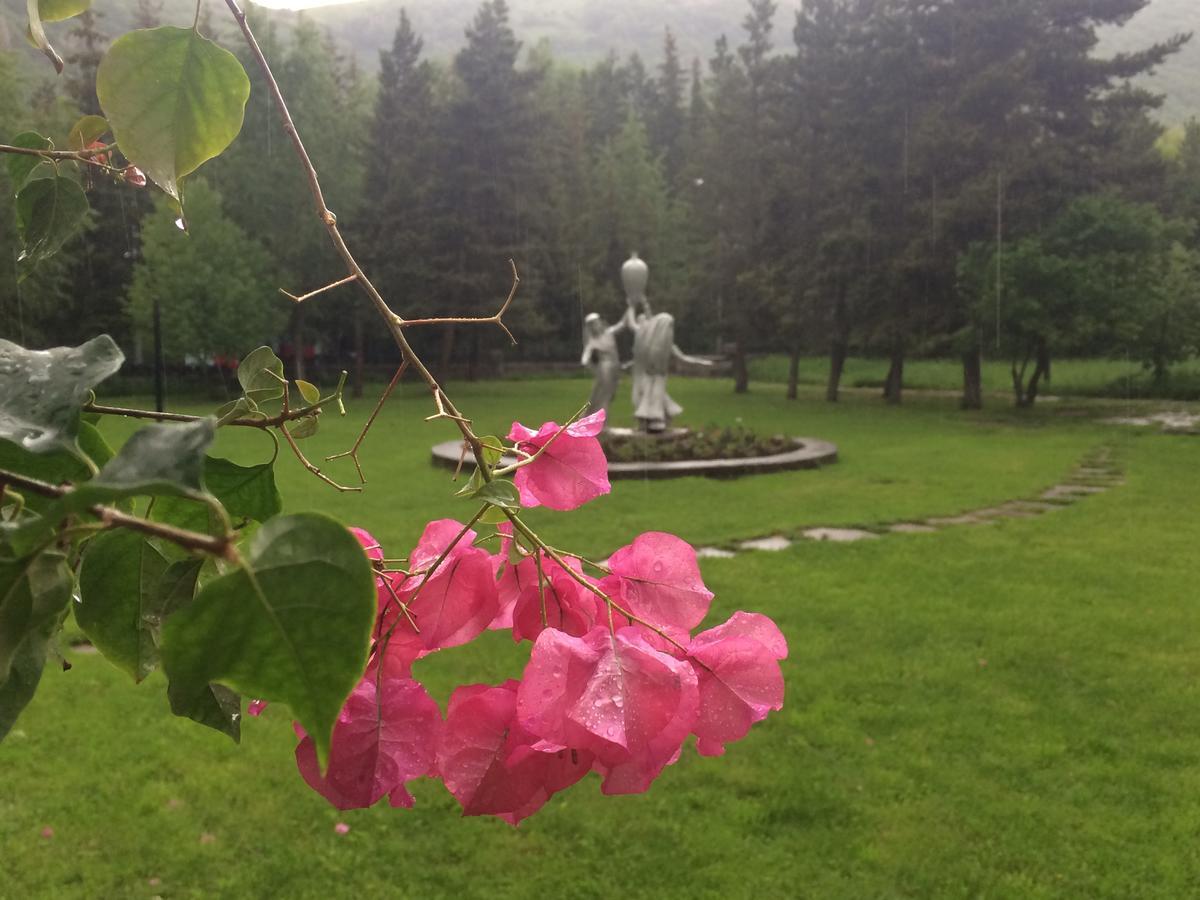 Jermuk Olympia Sanatorium 호텔 외부 사진